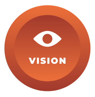 Vision